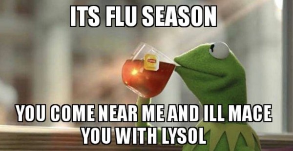 flu-season-kermit-meme.jpg