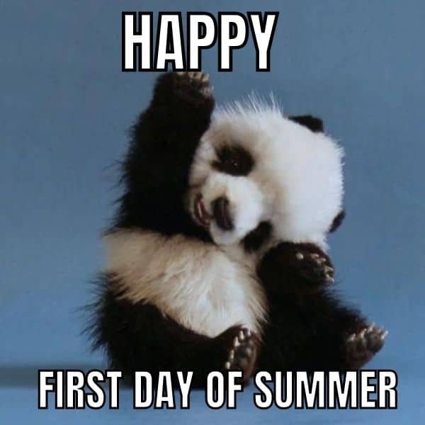 Happy-First-Day-Of-Summer-Meme.jpg