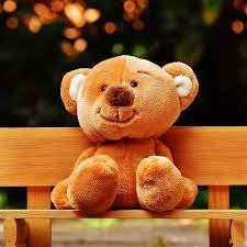 teddybearday.jpg