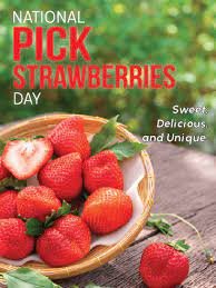 pick strawerries.jpg